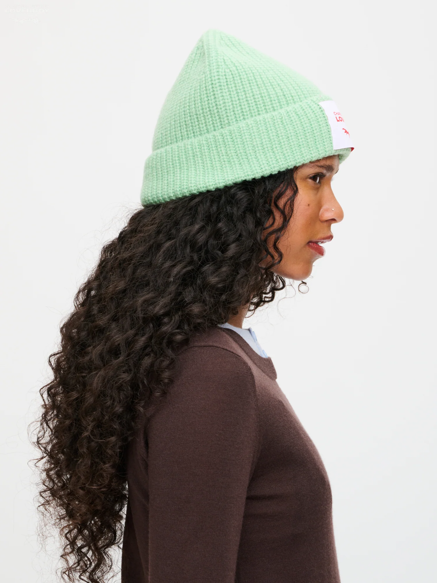 CHUNKY RIB BEANIE in LIGHT GREEN - Image 3
