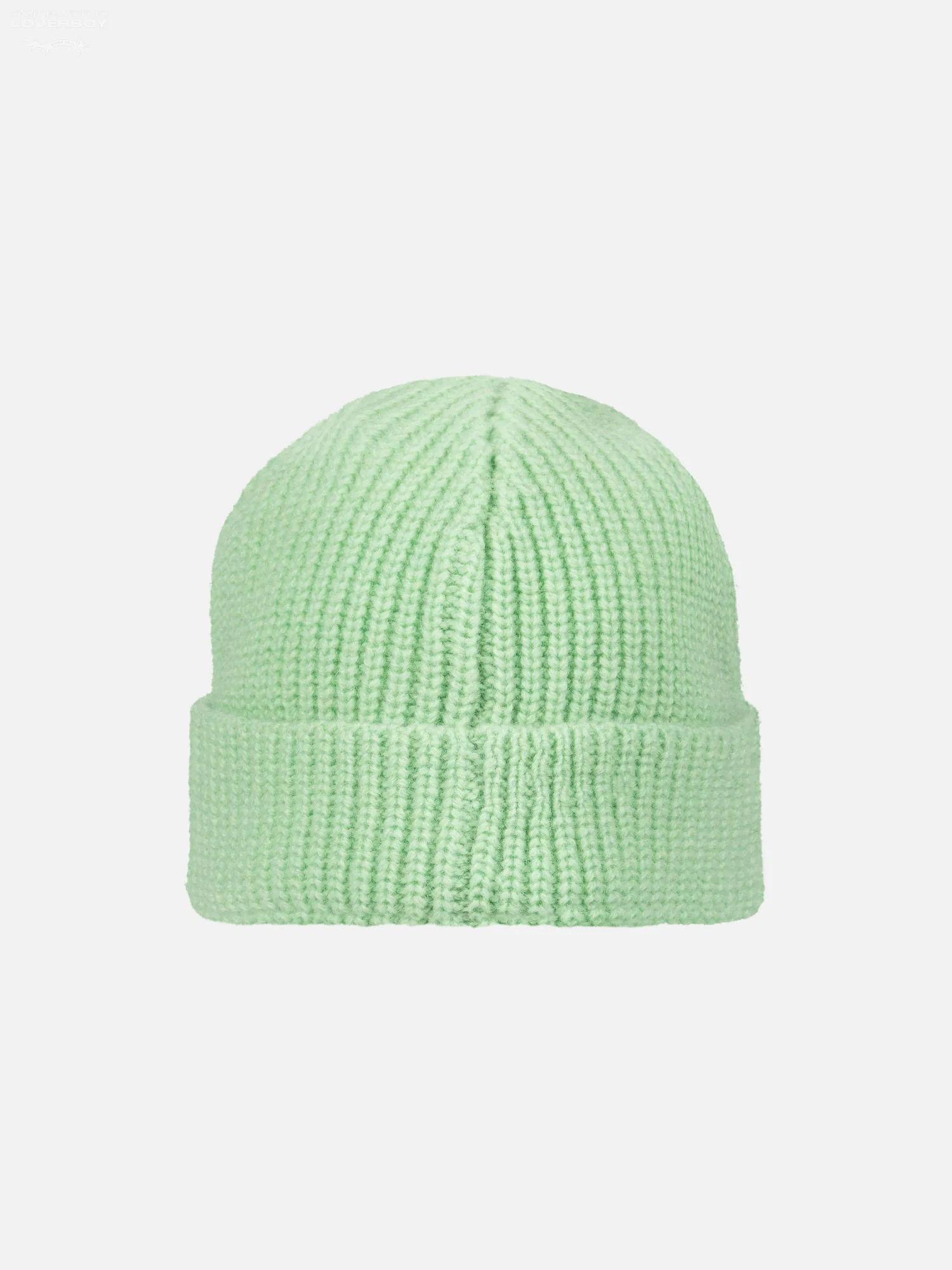 CHUNKY RIB BEANIE in LIGHT GREEN - Image 5